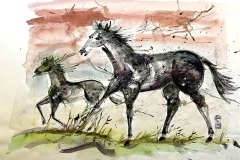 horse-and-colt-web