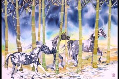 horses-from-Janet-McIntyre